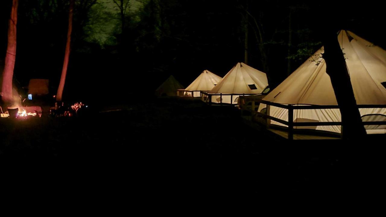 Harmony Tree Resorts Inc Нашвілл Екстер'єр фото